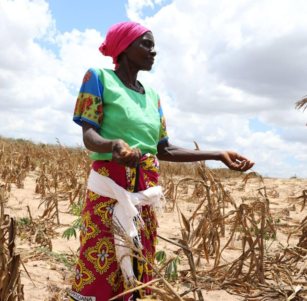 El Niño : pourquoi les femmes africaines risquent de payer un lourd tribut aux perturbations climatiques